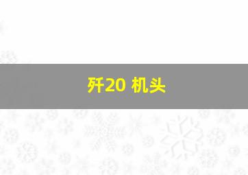 歼20 机头